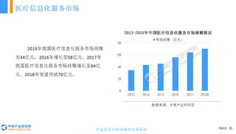2018年中國醫(yī)療信息化行業(yè)市場前景研究報告 數(shù)據(jù)處理及存儲服務(wù)
